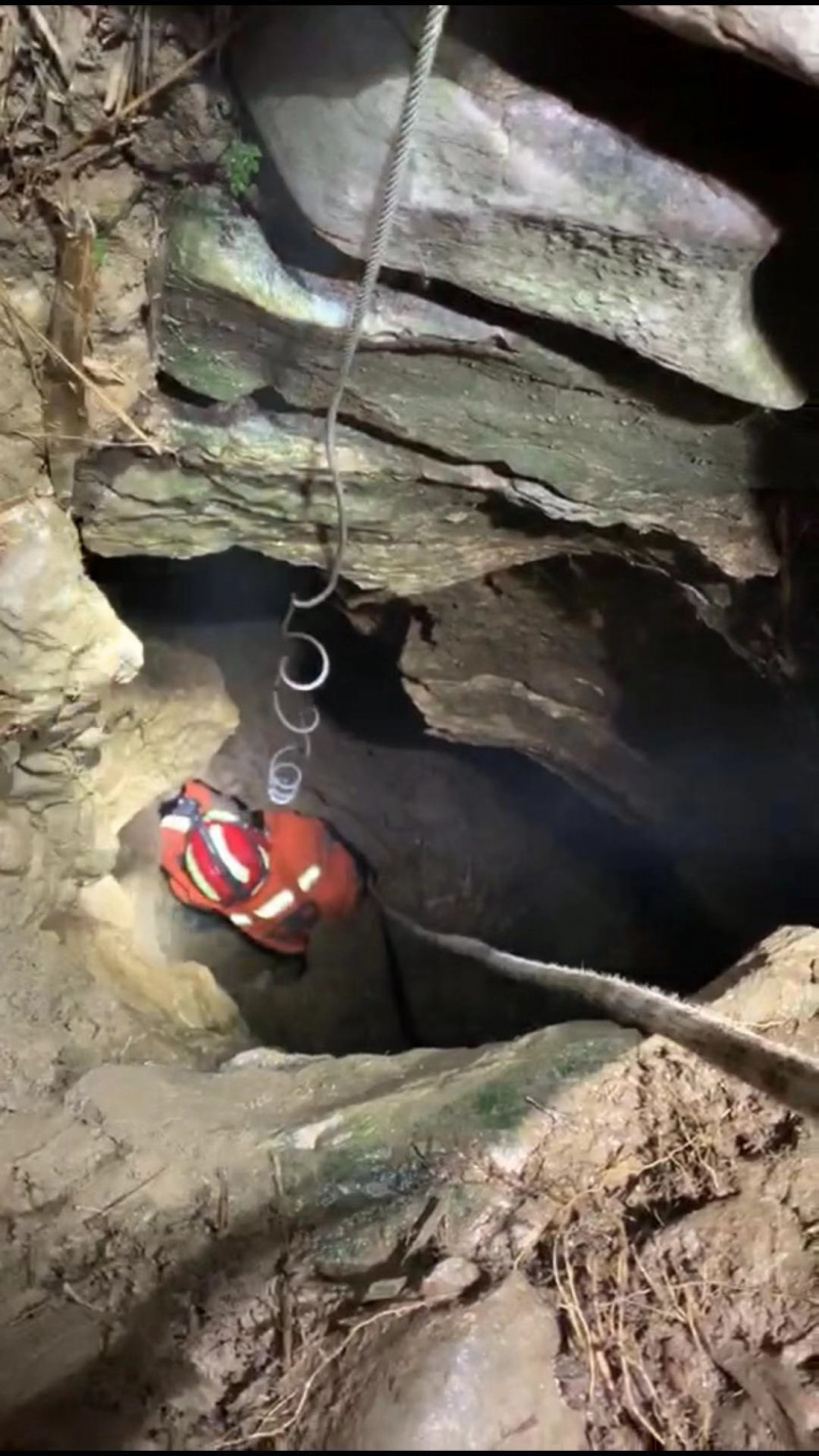 1552116603210184.png image.png