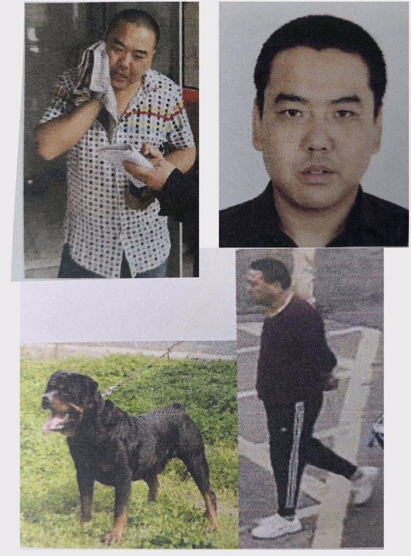 精神病2.jpeg