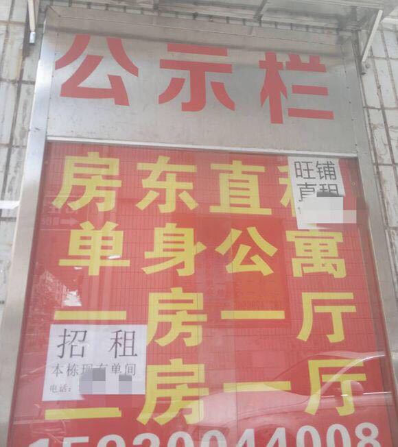 常住人口一年增近50万 深圳房租涨出