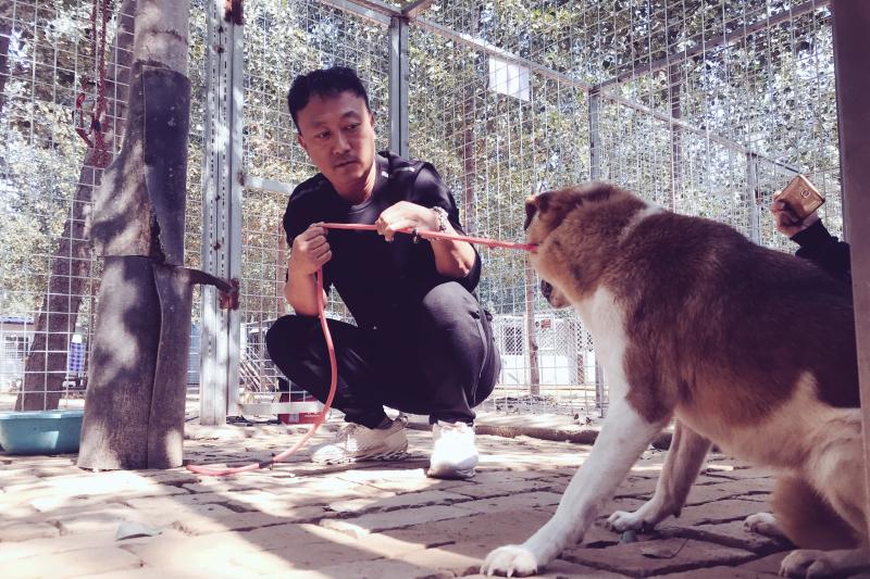 申慧亮给救助犬做行为辅导.jpg