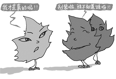 2bt1_b-2.jpg