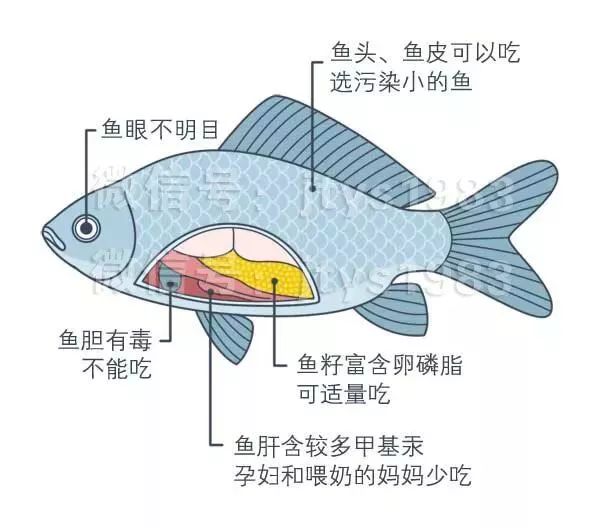 北京头条 北京头条