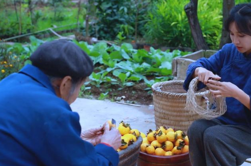 1576381898923526.png 李子2.png