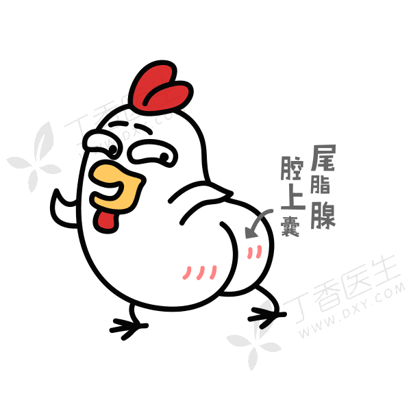 微信图片_20200322163555.gif