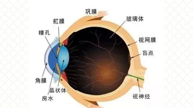 微信图片_20200330202651.jpg