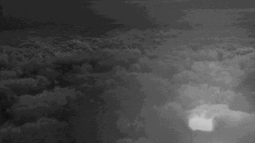 微信图片_20200406225816.gif