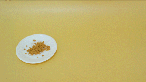 微信图片_20200420162955.gif