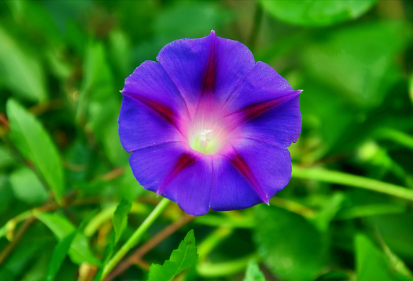 VCG21aac833572.jpg