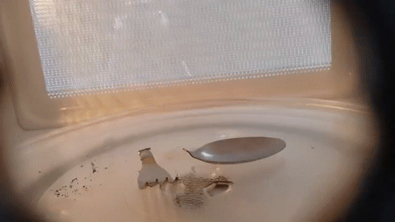 微信图片_20200502093400.gif
