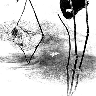 1589853628333799.jpg 992186.jpg