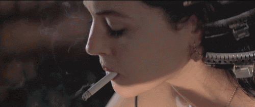 310.gif
