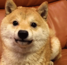 2ca73fec9039aff67f5371680e8e3152.gif