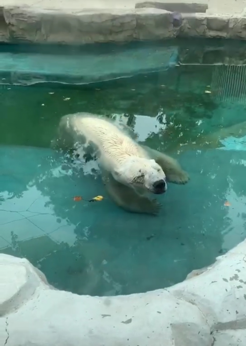 1596187314361389.png image.png