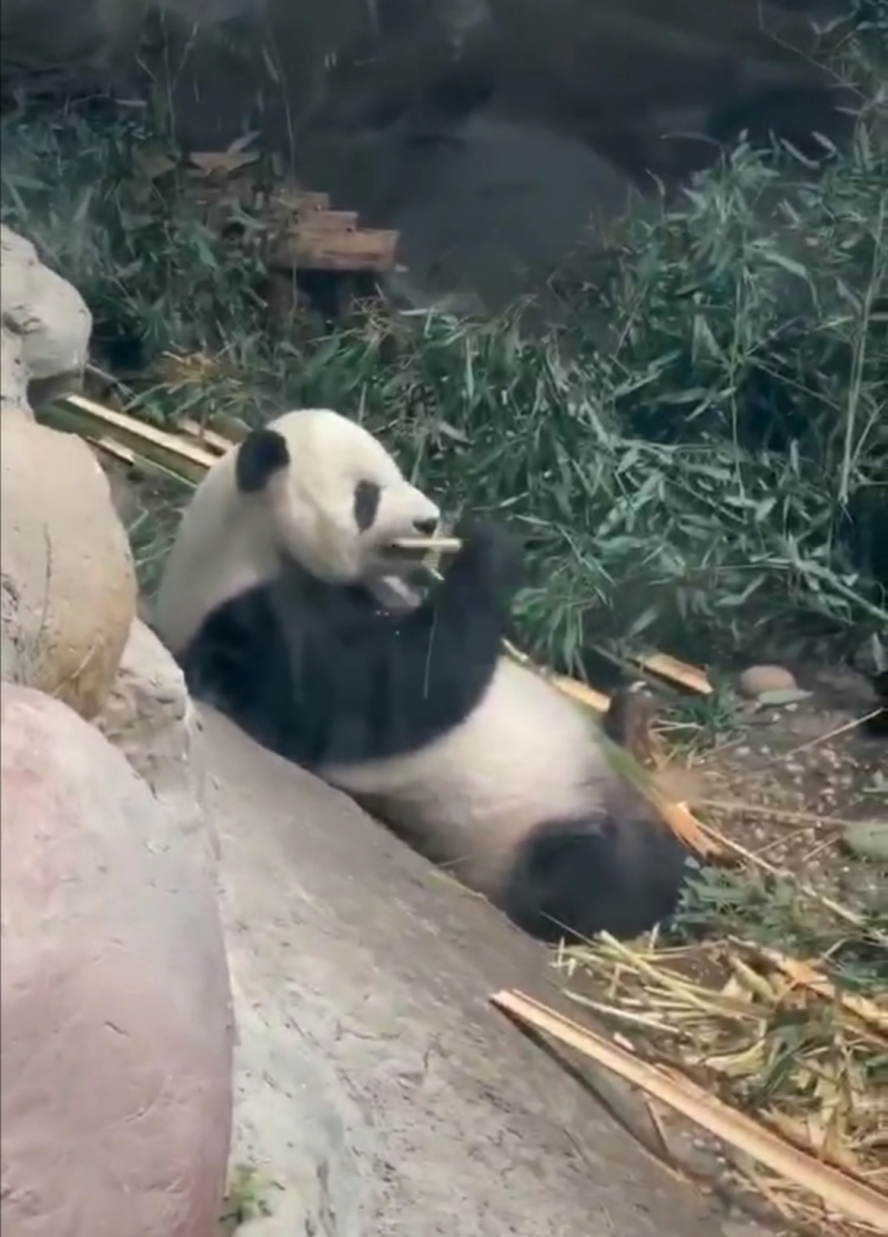 1596187321340132.png image.png