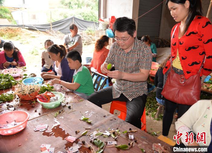 阮成江在油茶基地与当地民众交流。　杨秘 摄