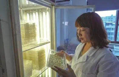 1596714556162137.jpeg WechatIMG14881.jpeg