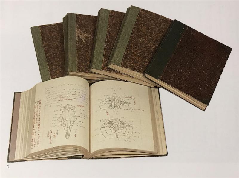 北京鲁迅博物馆珍藏的文物《仙台医专讲义》2 - 副本_副本.jpg