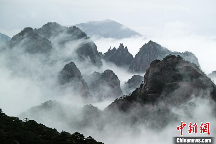 黄山群峰在云雾中若隐若现 李金刚 摄