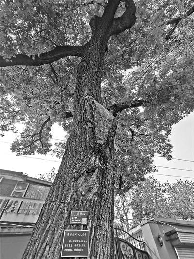 1602465971511159.jpg 10bt8_b.jpg