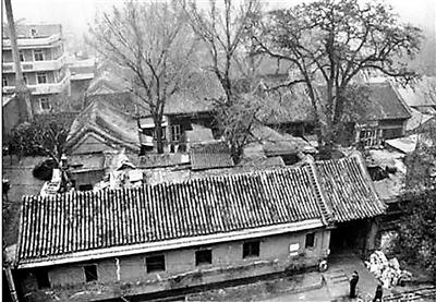 1602466161713997.jpg 10bt19_b.jpg