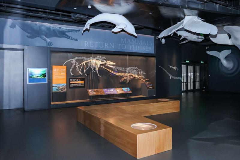 1603875513616275.jpeg 7.jpeg