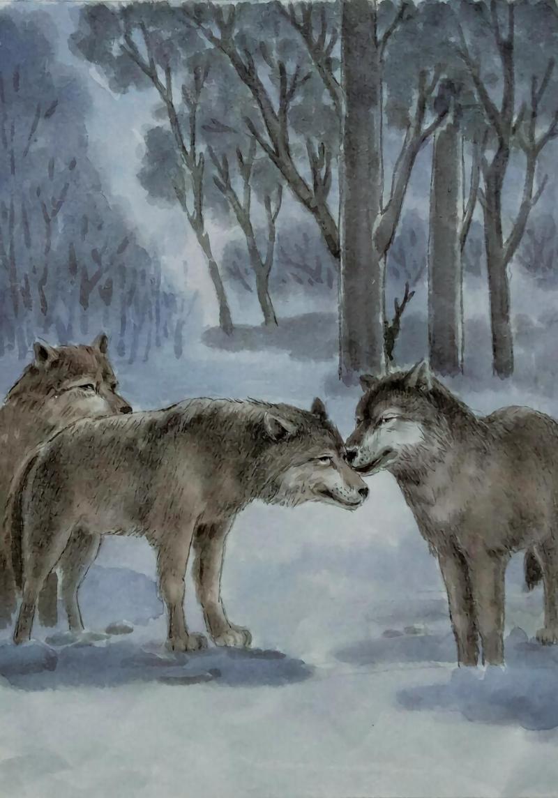 1604154007462224.jpg 微信图片_20201031221935.jpg