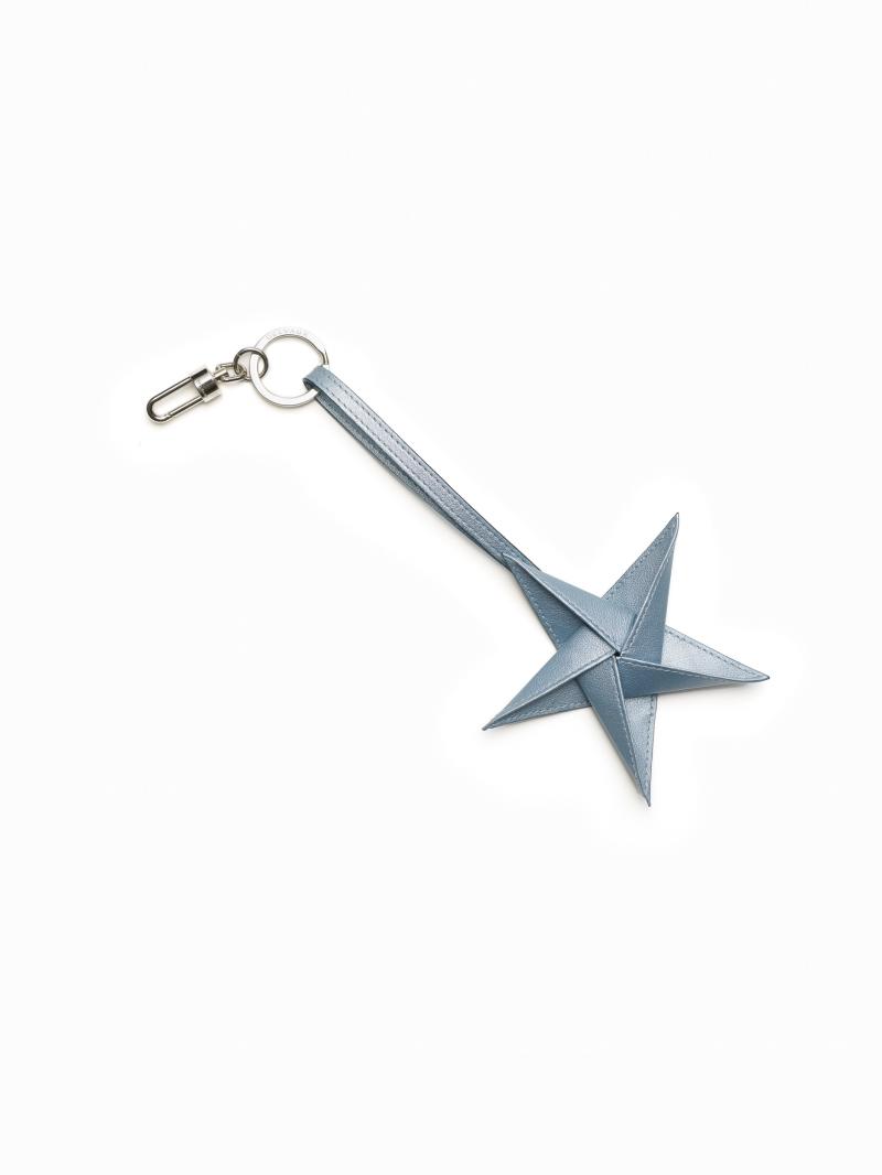 9. DELVAUX_Constellations_PLC_Star_Calf_Métal_Céleste.jpg