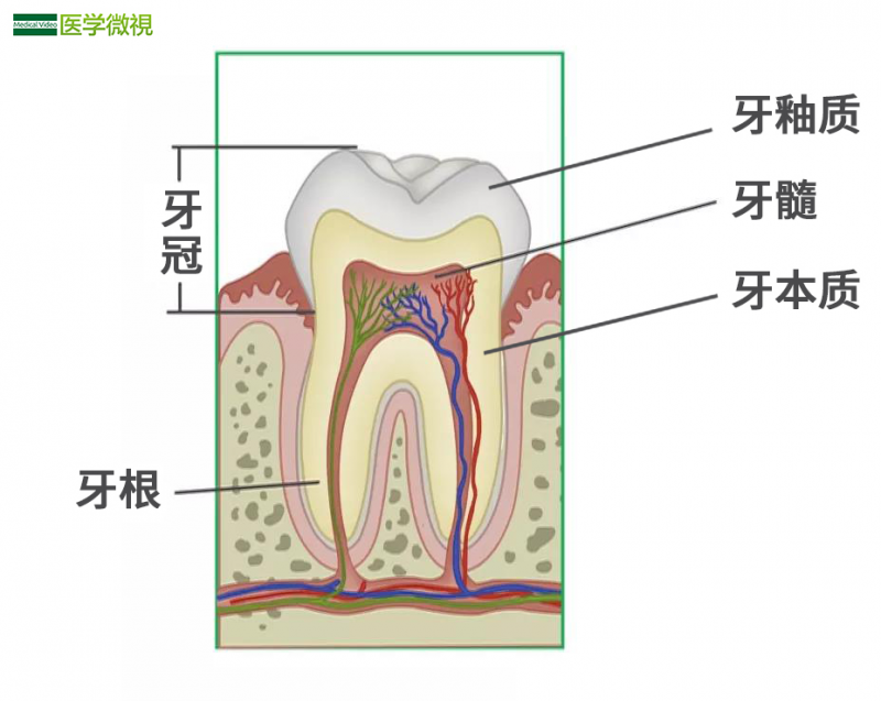 北京头条