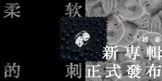 柔软的刺3.jpg