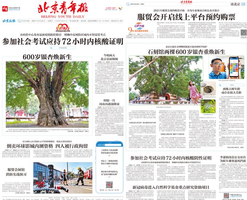 报纸版样.jpg