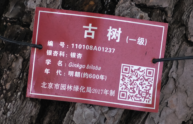 DSCF0623.JPG