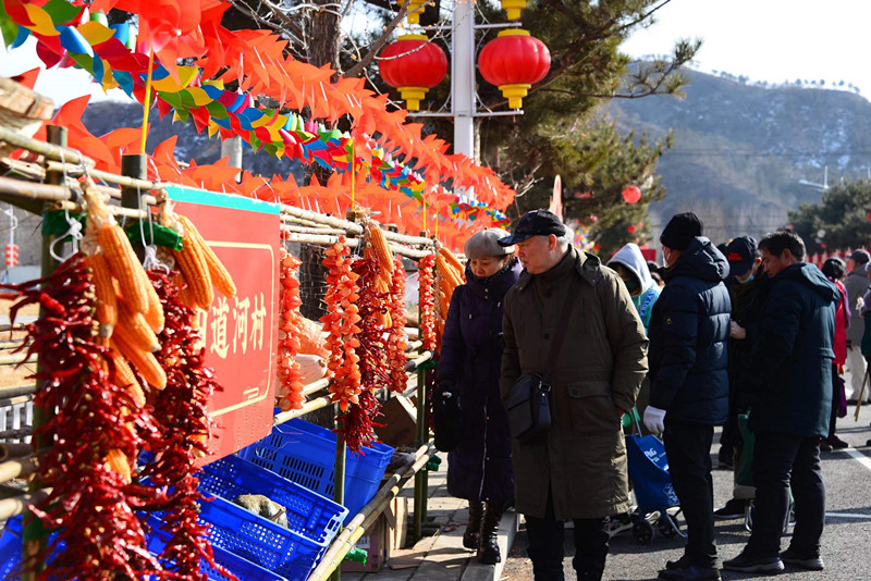 微信图片_20240202141723_副本.jpg