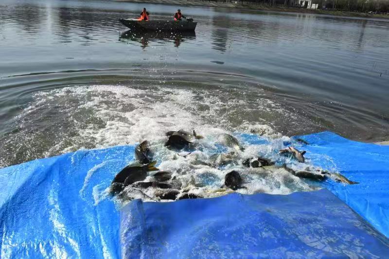物业排污.jpg