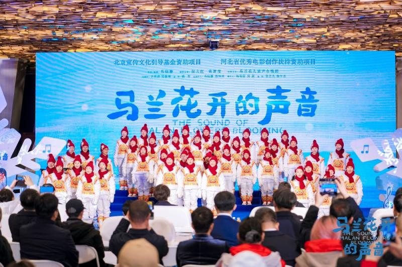 马兰花开的声音.jpg