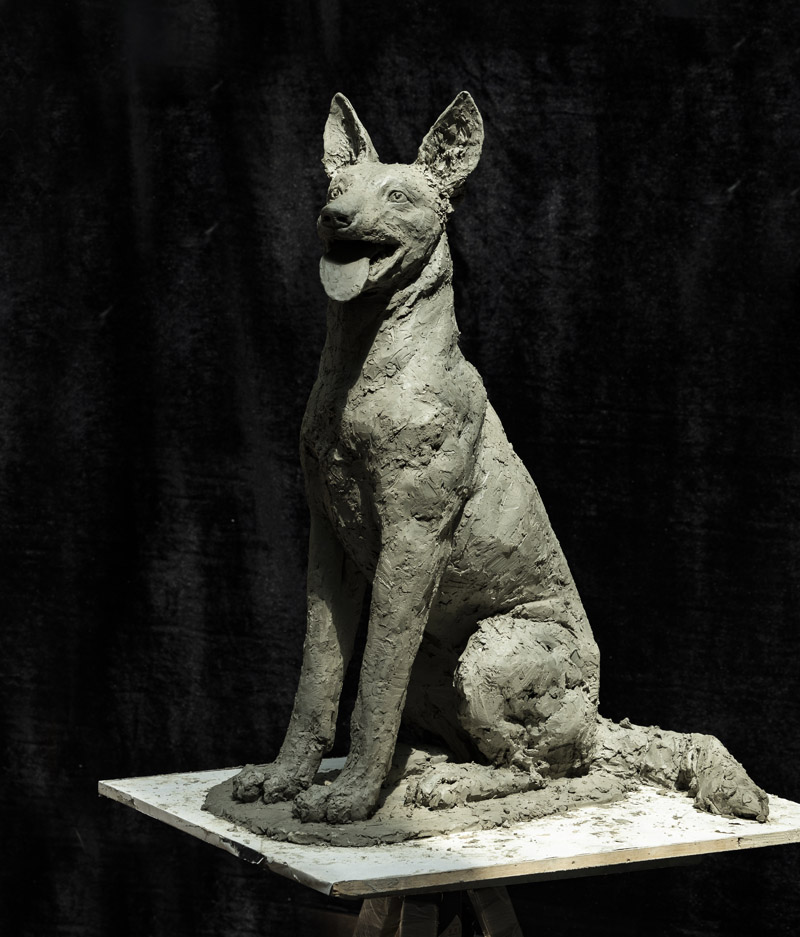 缉毒犬.jpg