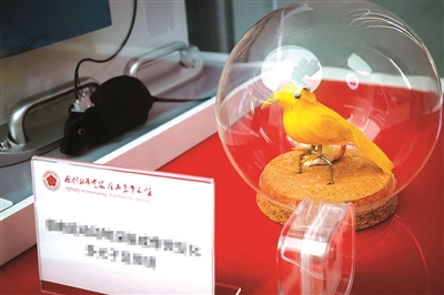 京2.jpg