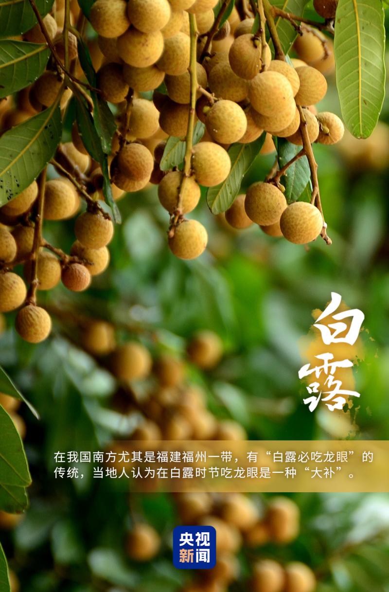 图6.jpg