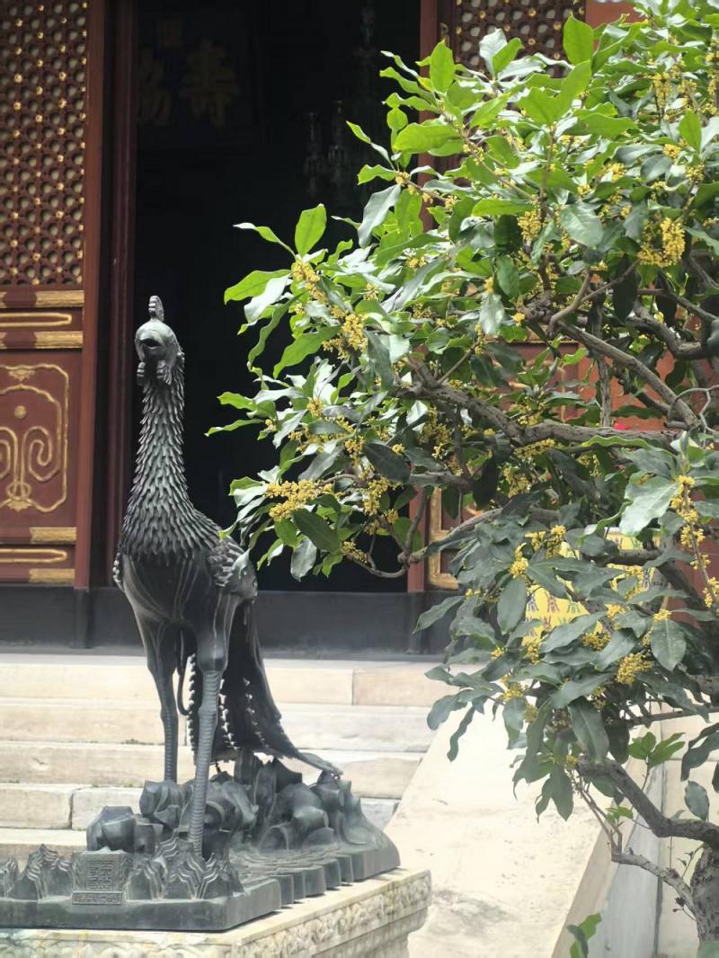 1758624062474134.jpg 微信图片_2025-09-23_183630_347.jpg
