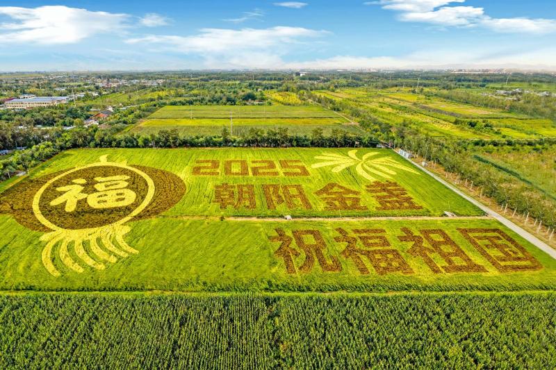 1759231403779162.jpg 微信图片_20250930182310_7061_20.jpg