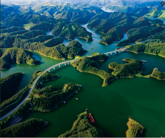 1761550053473822.png 图片6.png