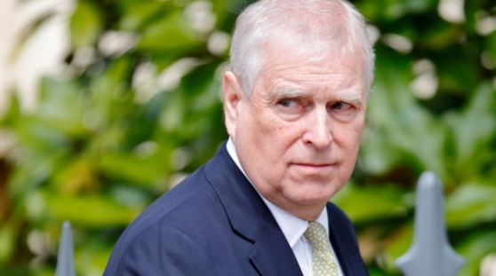 1761864838416808.png 03fad11e5e4c4d35a7e2fee579d4f812.png