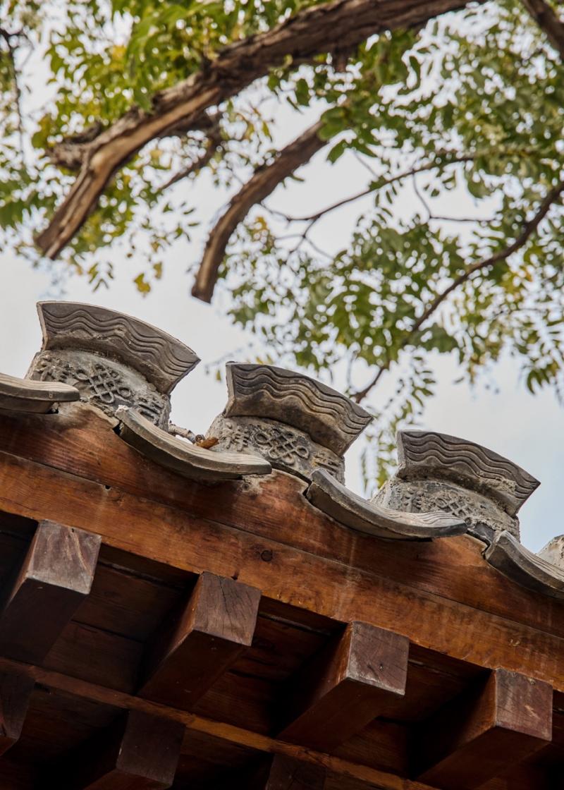 1762600630460398.jpeg IN SUITE (19) 大.jpeg