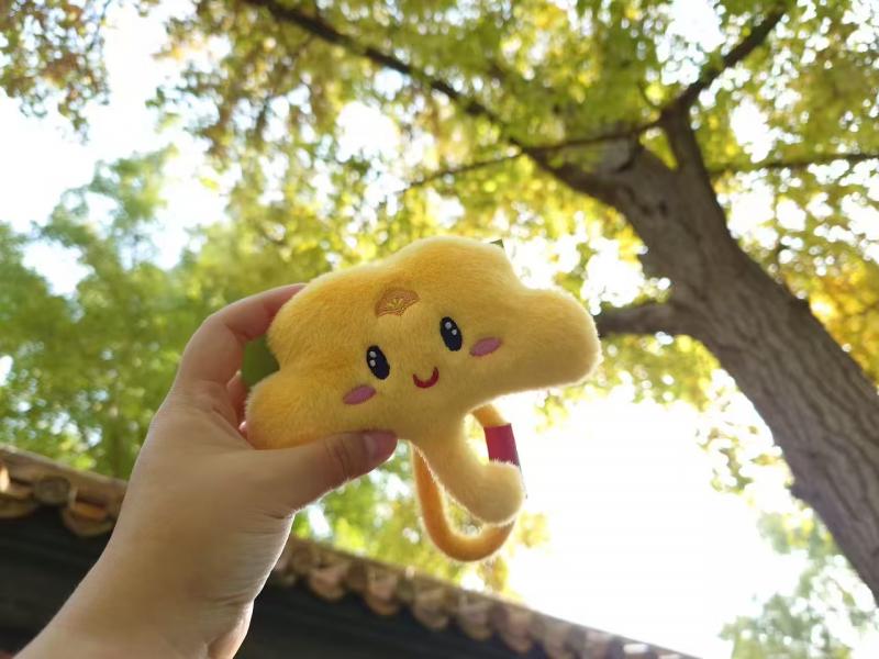 1762674542245868.jpg 微信图片_2025-11-09_154842_202.jpg