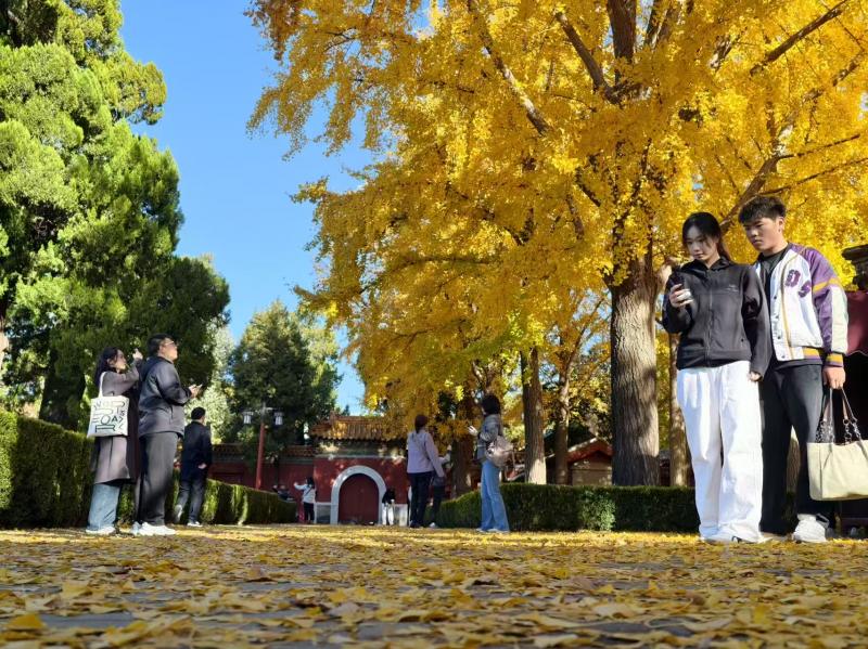 1762674574274768.jpg 微信图片_2025-11-09_154839_635.jpg