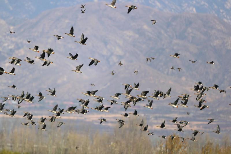 1763621288846748.jpg 微信图片_20251120144324_2161_27.jpg