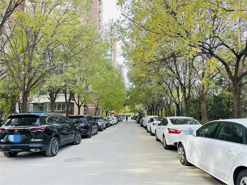 1765528888864920.png 图片3.png