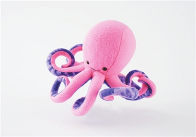 1767654863933310.jpeg 9bt10_b.jpeg