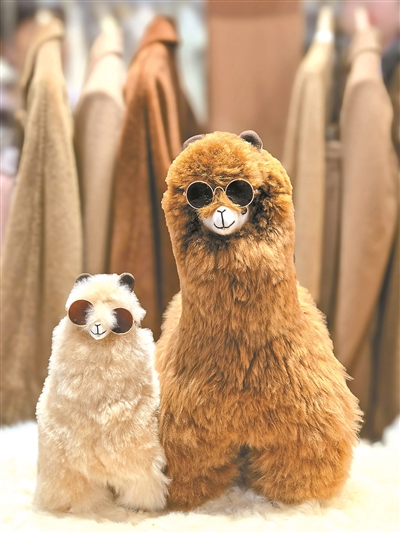 1767654869721681.jpeg 9bt1_b.jpeg