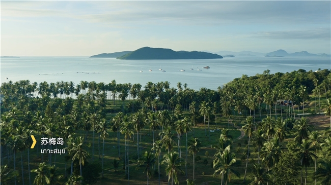 1769489433393802.png 图片2.png