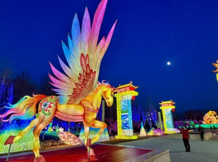 1769867597206194.jpg Z22.jpg